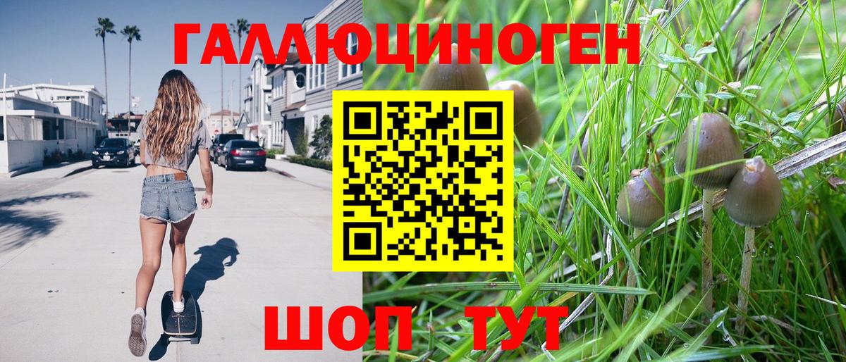 Холмск  магазин продажи   Вход с VPN  Галлюциногенные грибы Magic Shrooms 