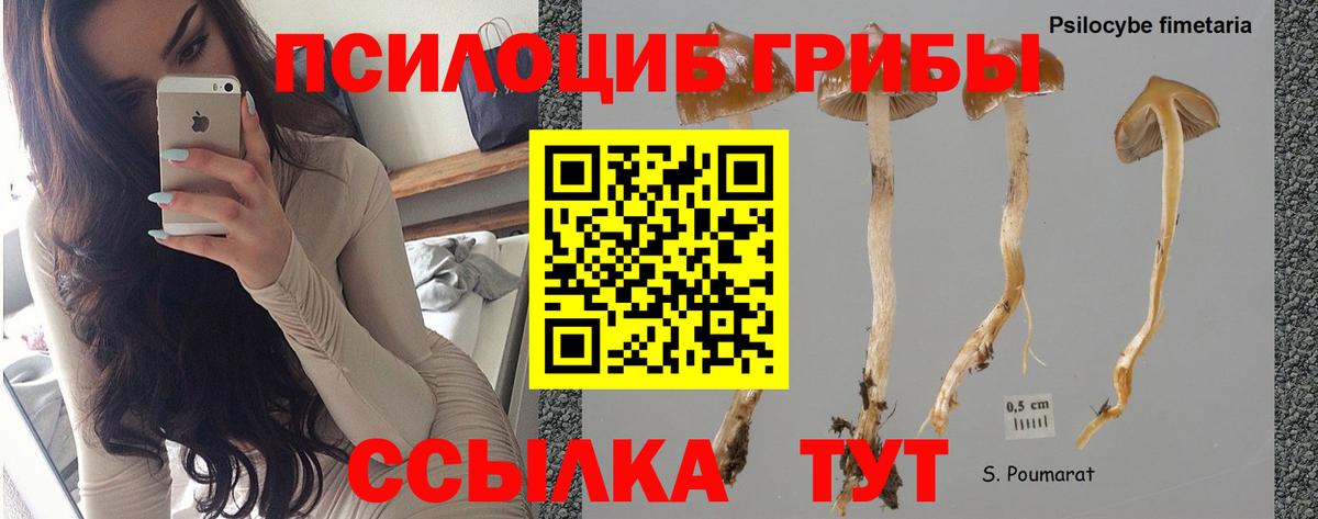 Галлюциногенные грибы мухоморы Холмск